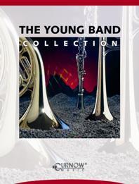 The Young Band Collection ( Flute )